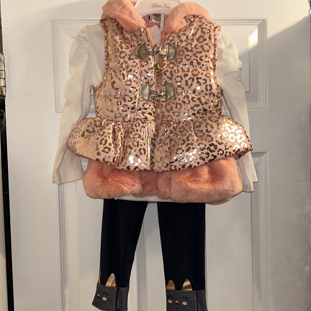 Toddler Girls 3 Piece Outfit with Hooded Vest